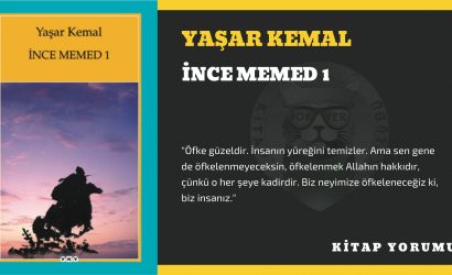 yaşar kemal - i̇nce memed