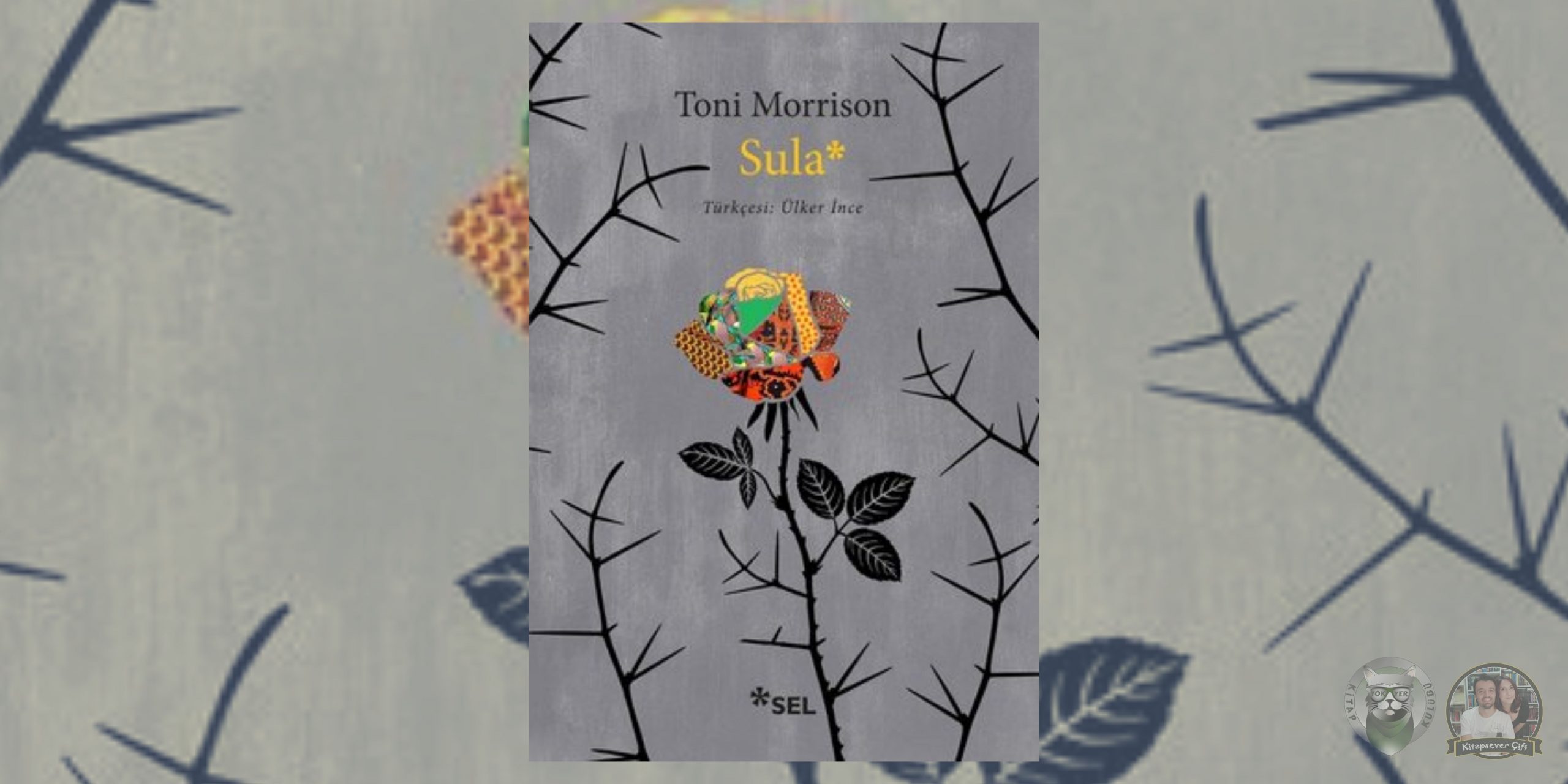 Sula