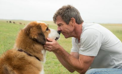 a dog's purpose