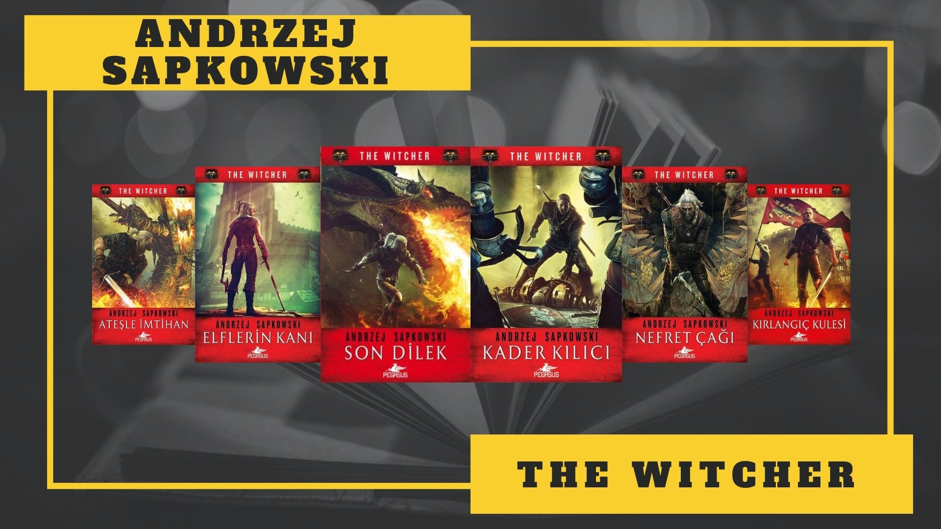 The Witcher Serisi