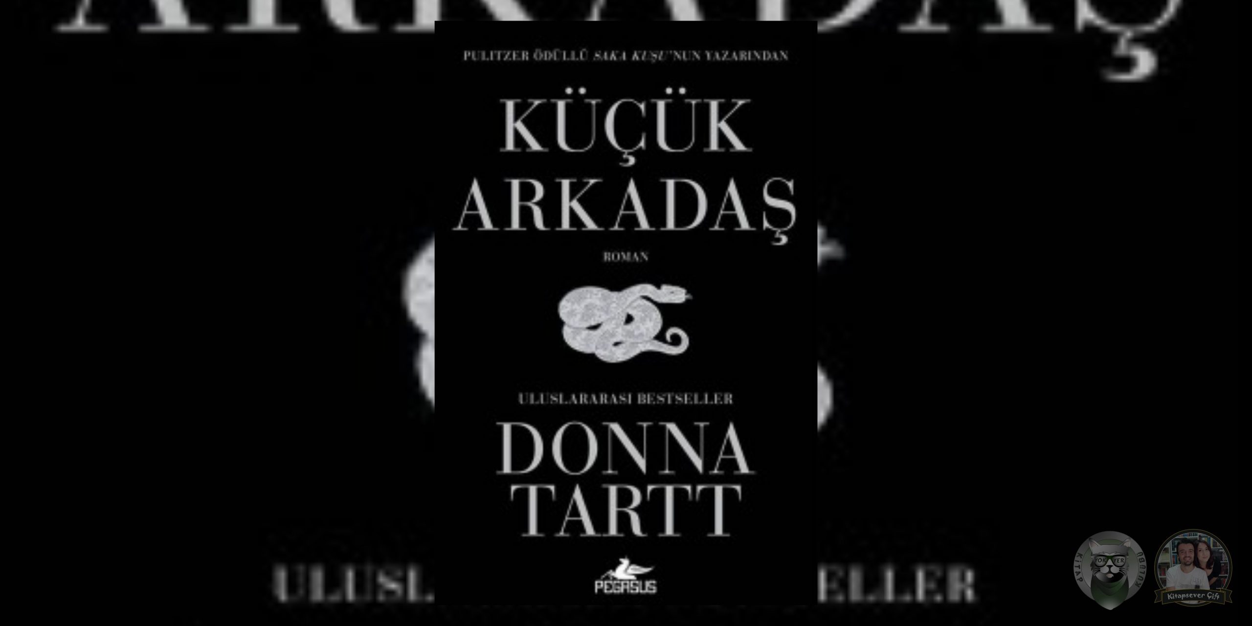 donna tartt kitapları