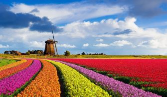 Hollanda Kitapları