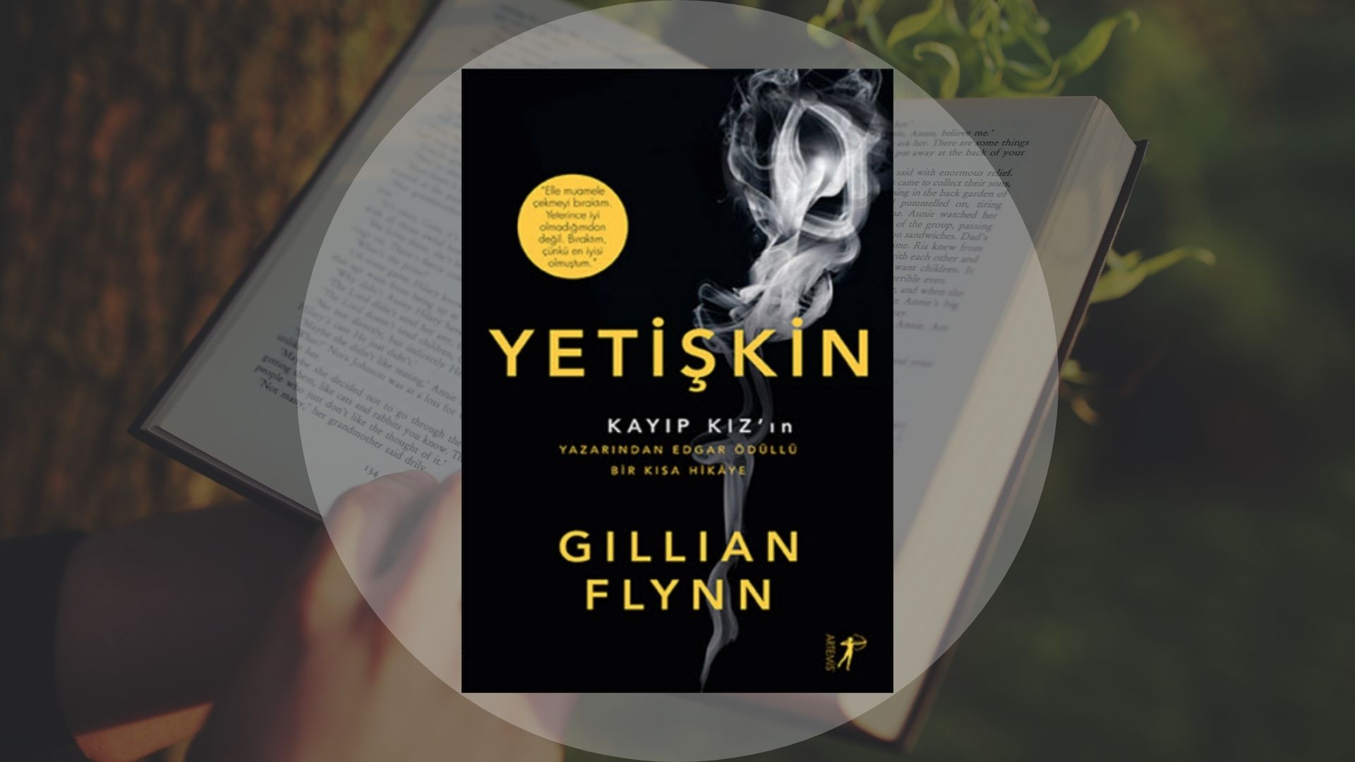 Gillian Flynn - Yetişkin