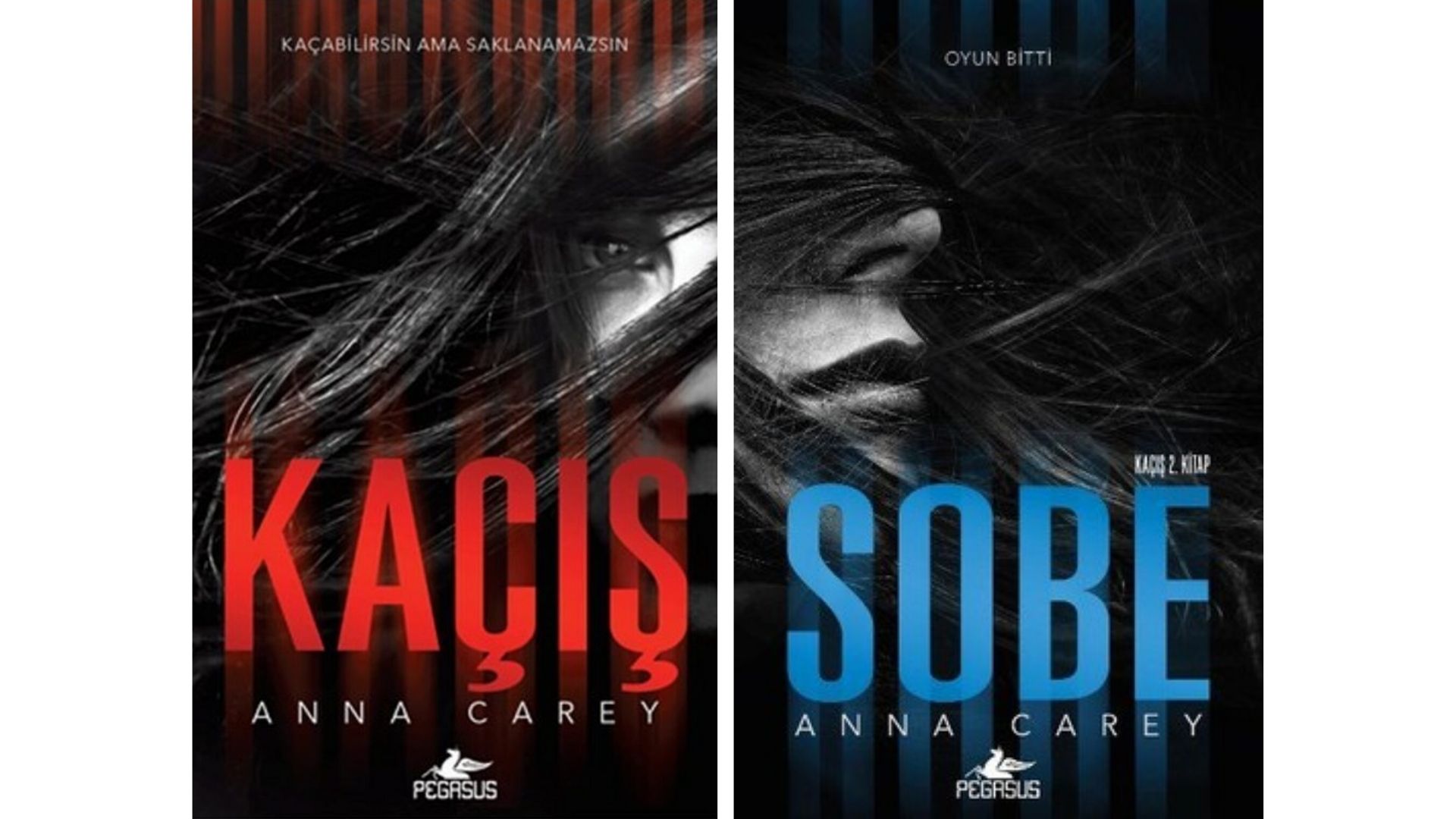 KİTAP SERİSİ: ANNA CAREY – KAÇIŞ 1 – Kacis Kitaplari