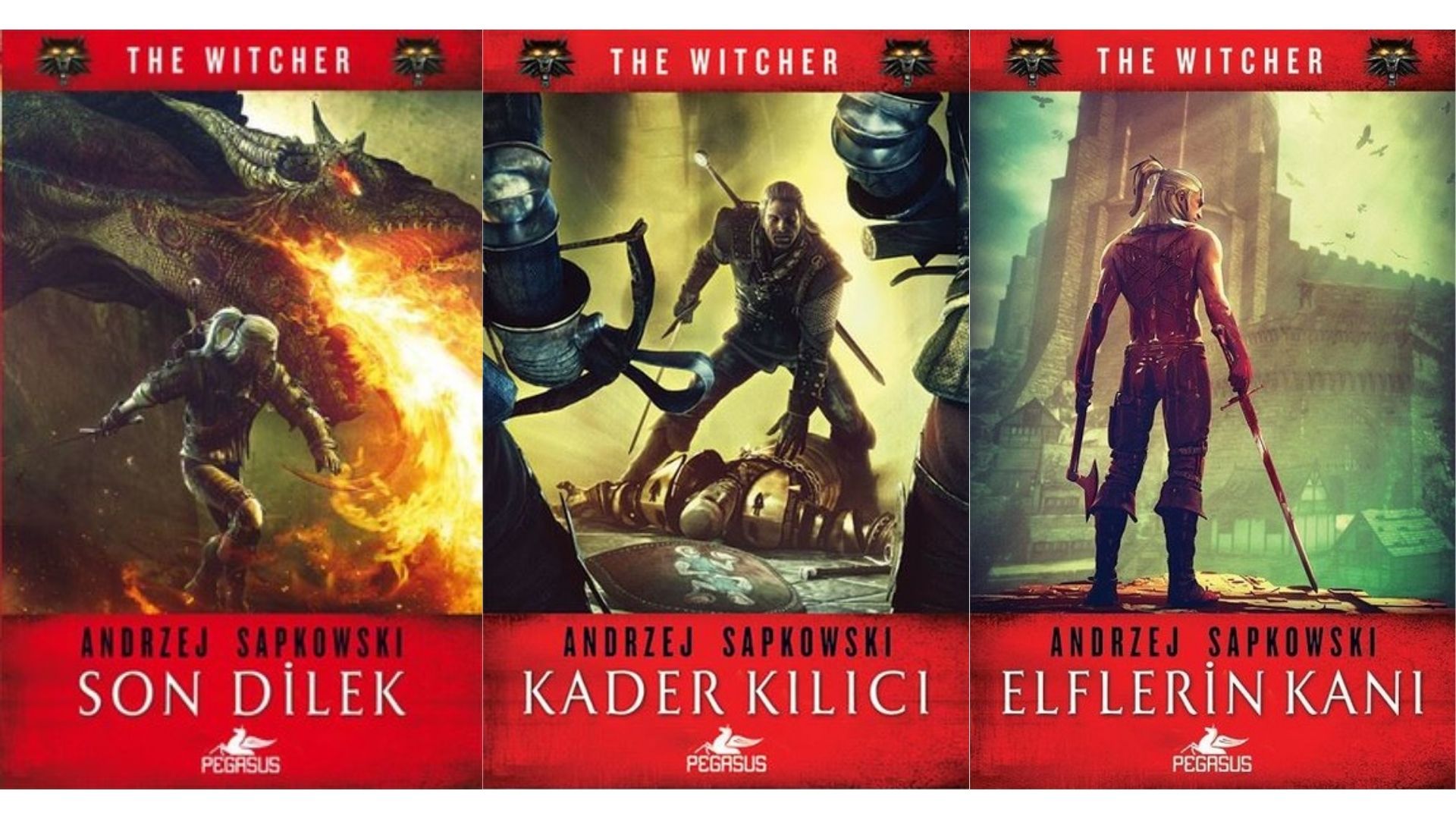 ki̇tap seri̇si̇: andrzej sapkowski – the witcher seri̇si̇ 1 – the witcher