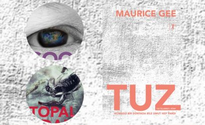 Tuz Serisi