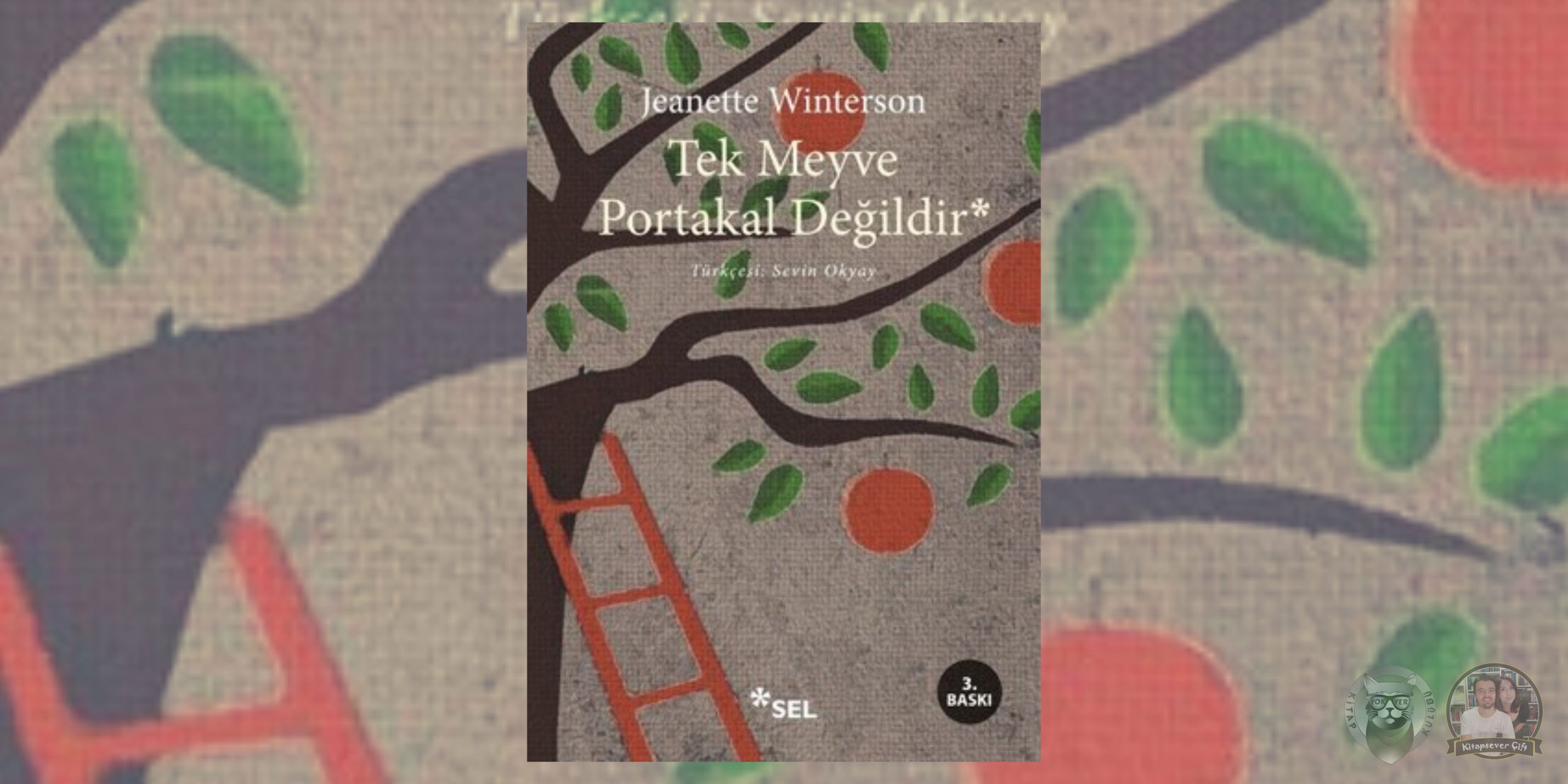 Giovanni'nin Odası Hayranlarına 36 Kitap Önerisi 21 – Tek Meyve Portakal Degildir scaled