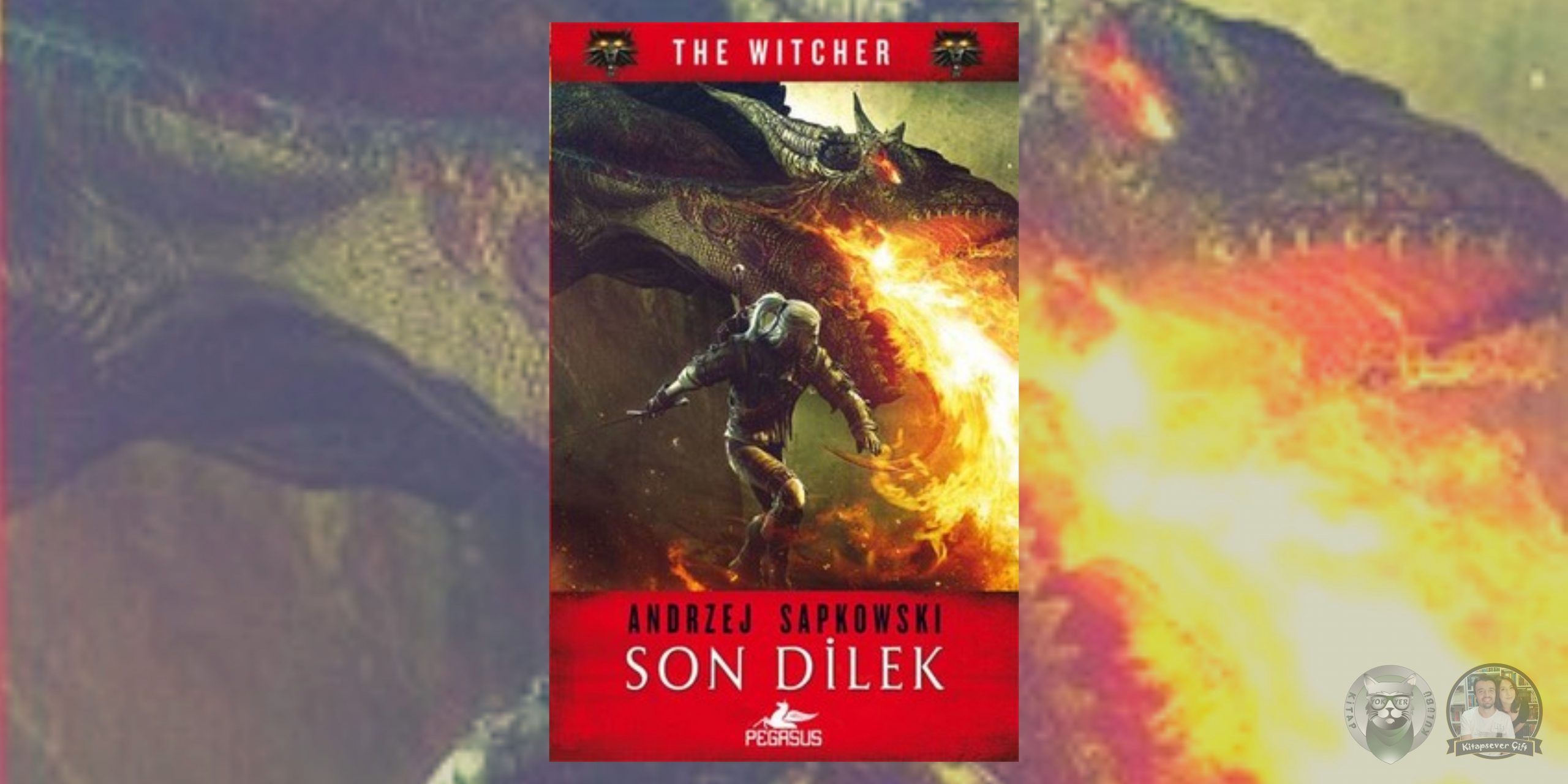 the witcher - son dilek