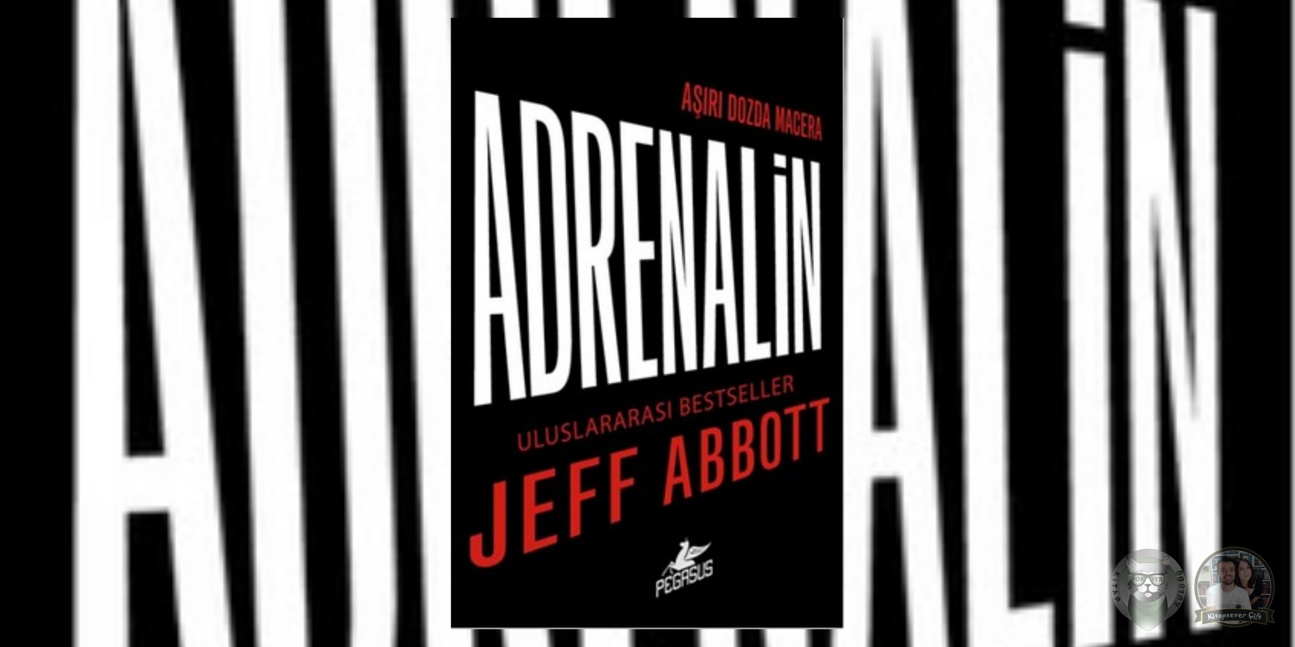 Ejderha Dövmeli Kız Hayranlarına 13 Kitap Önerisi 7 – Adrenalin scaled
