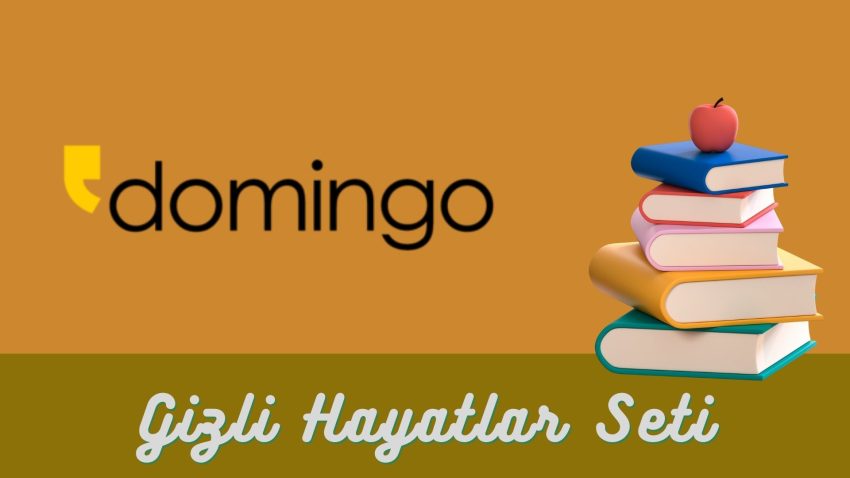 Domingo Yayınevi – Gizli Hayatlar Seti