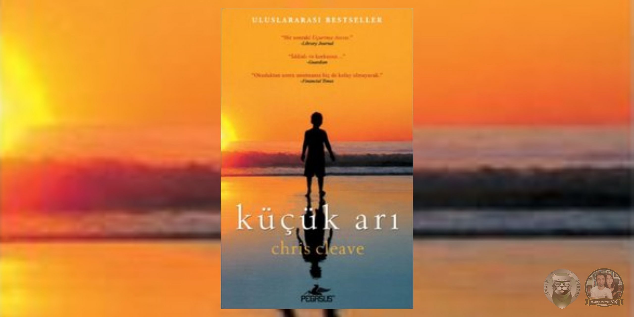 1Q84 Hayranlarına 12 Kitap Önerisi 9 – Kucuk Ari scaled