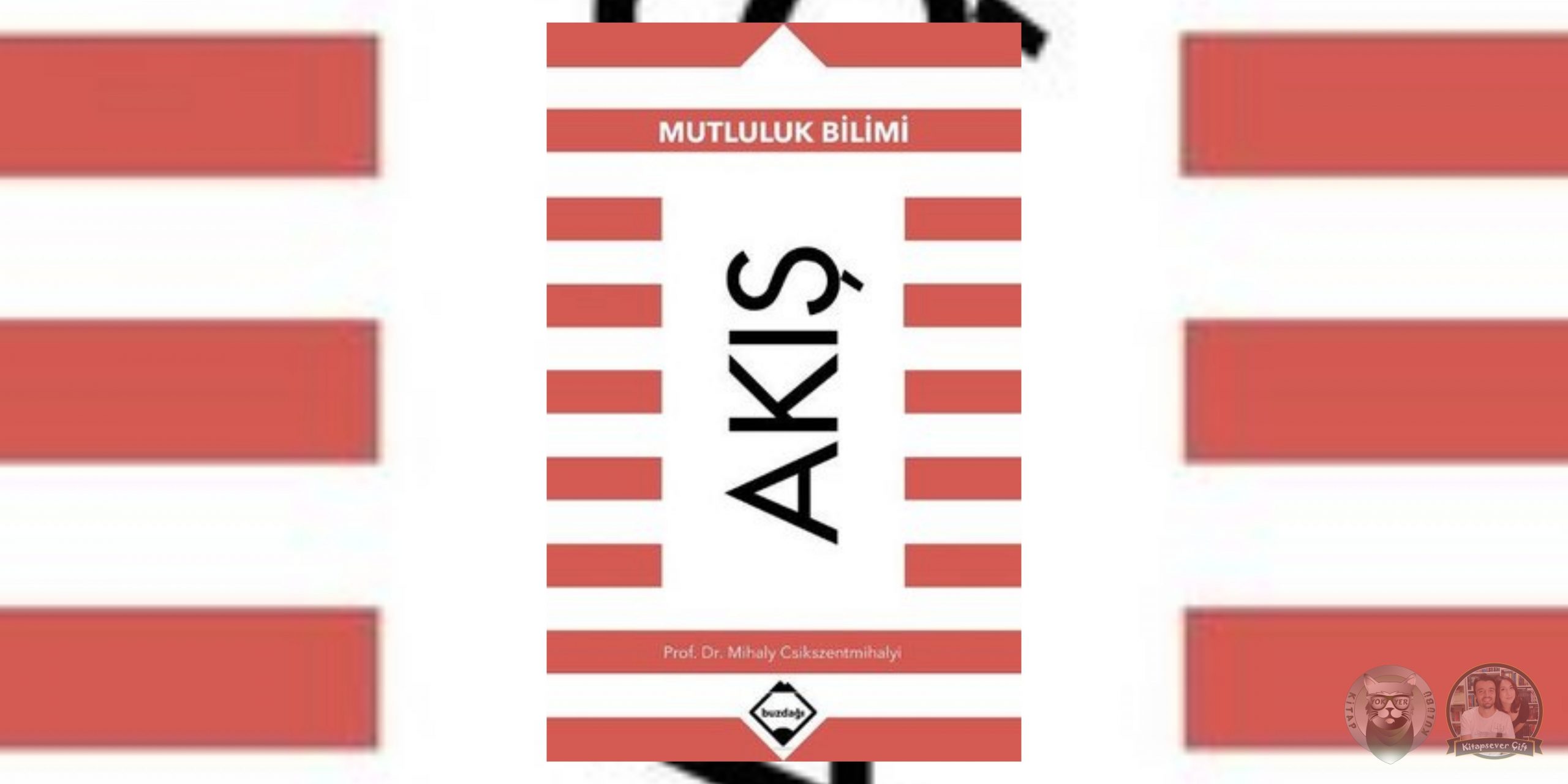Akış - Mutluluk Bilimi