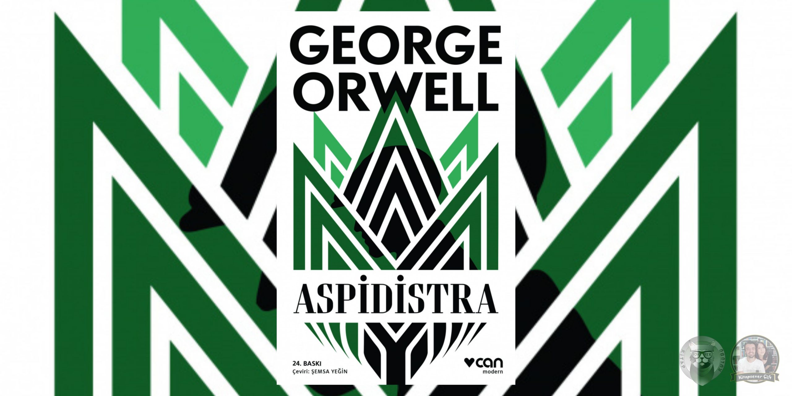 Aspidistra