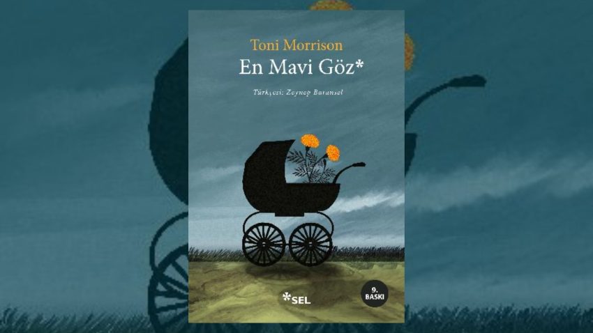 En Mavi Göz Hayranlarına 11 Kitap Önerisi