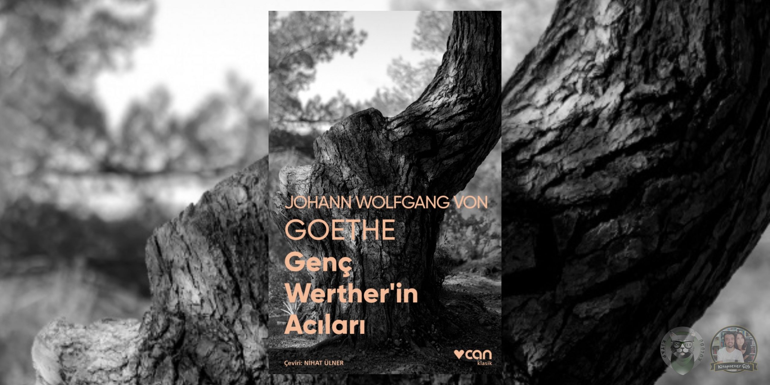 Genç Werther'in Acıları