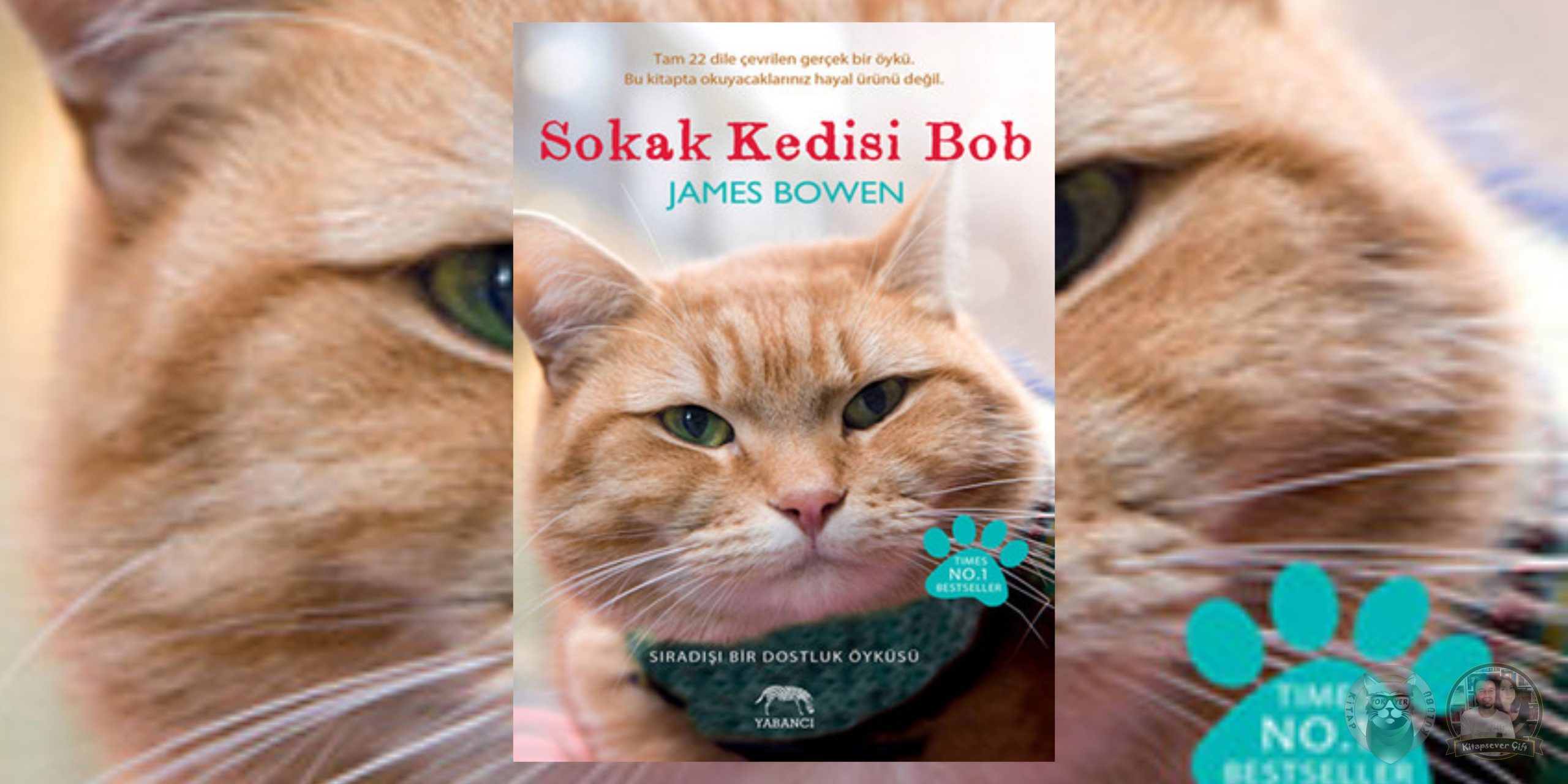 Sokak Kedisi Bob