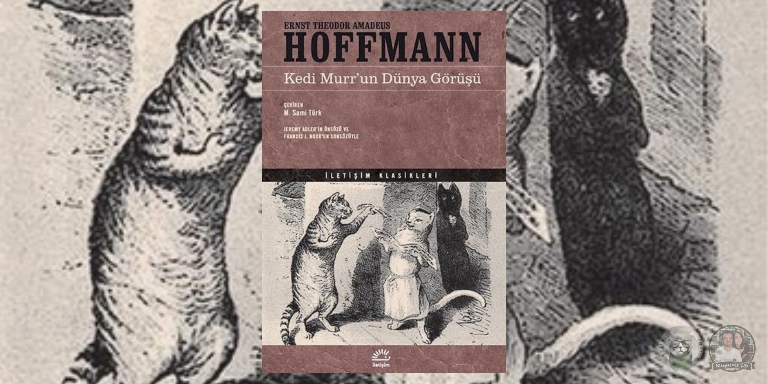 Kedi Murr’un Dünya Görüşü