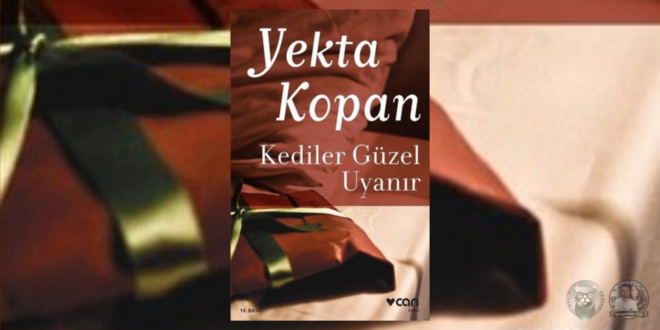 Kediler Güzel Uyanır