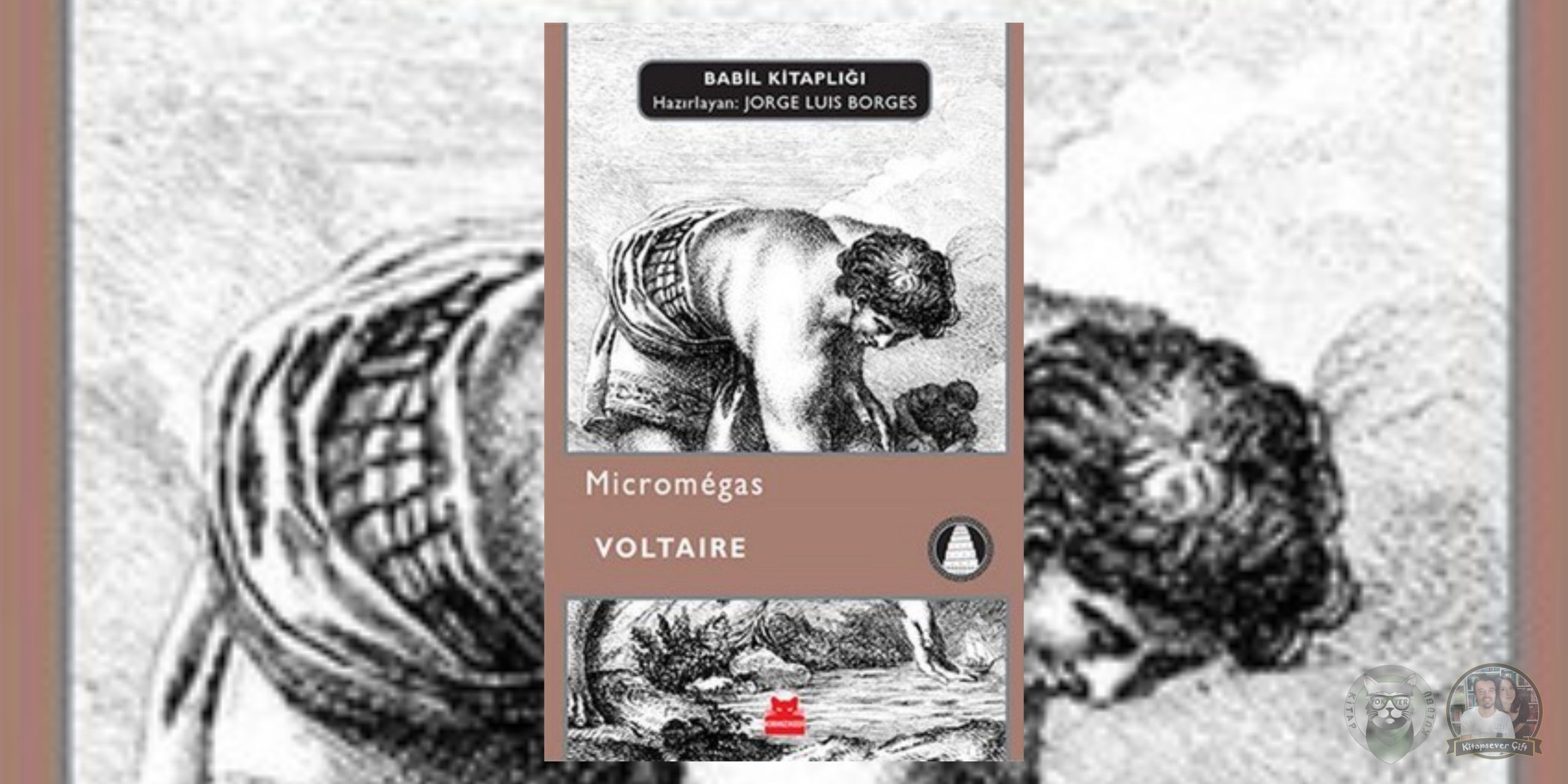 Micromegas