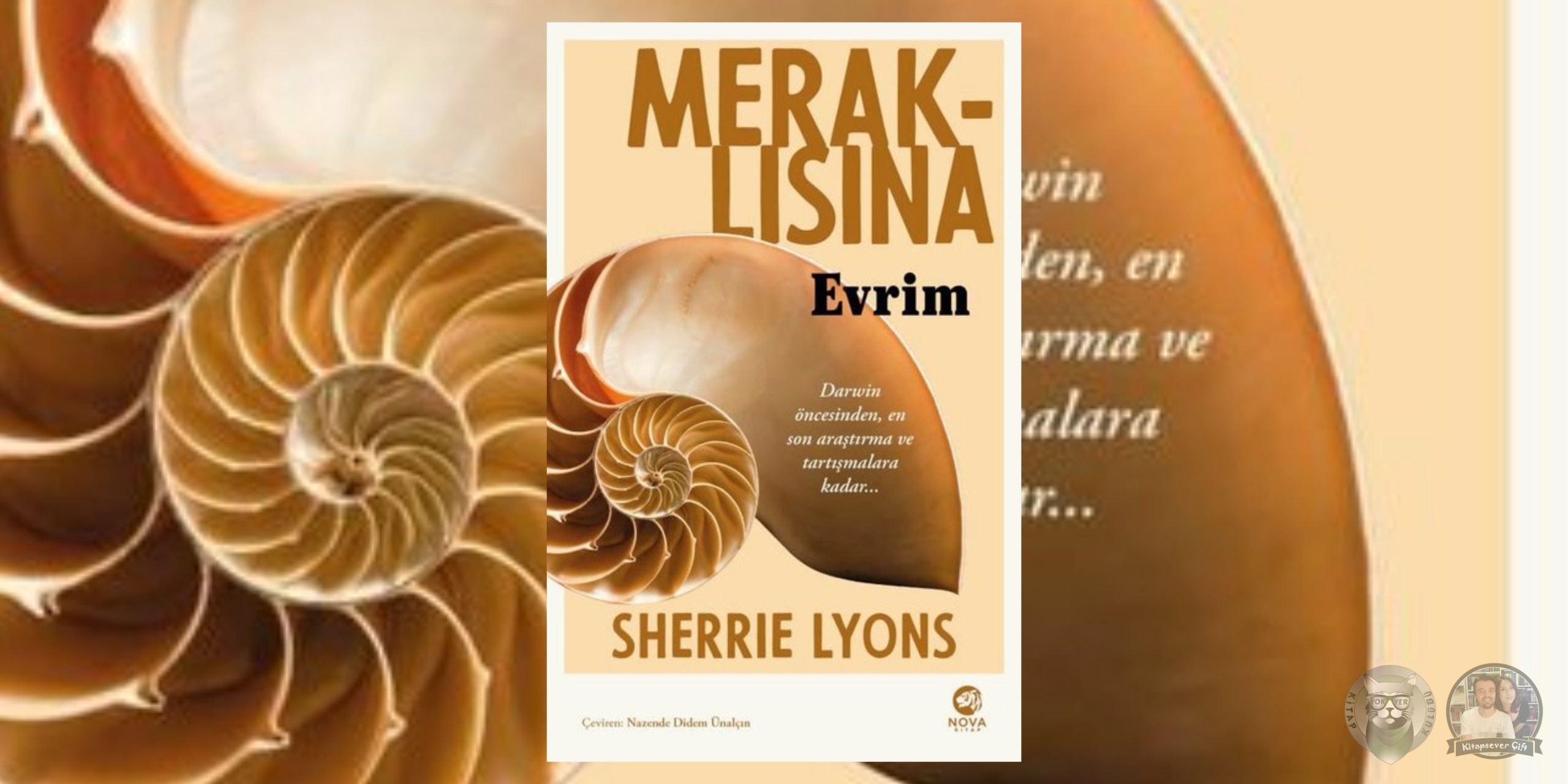 meraklısına evrim