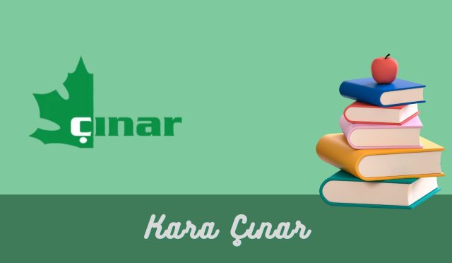 Çınar Yayınları Kara Çınar Dizisi